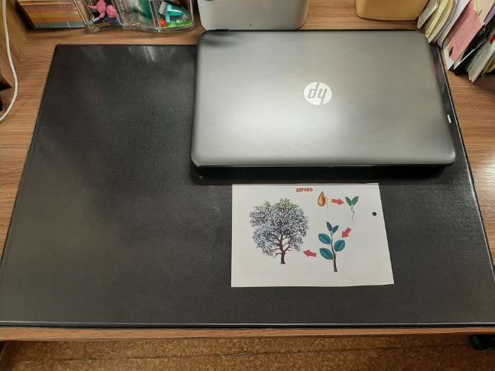 Фотография покупателя товара Накладка на стол офисная 45 × 65 см, Calligrata, с прозрачным карманом, чёрная - Фото 3