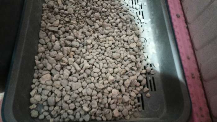 Фотография покупателя товара Наполнитель минеральный впитывающий «Дай лапку», для длинношерстных, фракция 6-10, 5 л - Фото 1