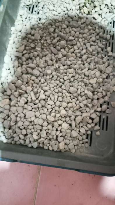 Фотография покупателя товара Наполнитель минеральный впитывающий «Дай лапку», для длинношерстных, фракция 6-10, 5 л - Фото 2