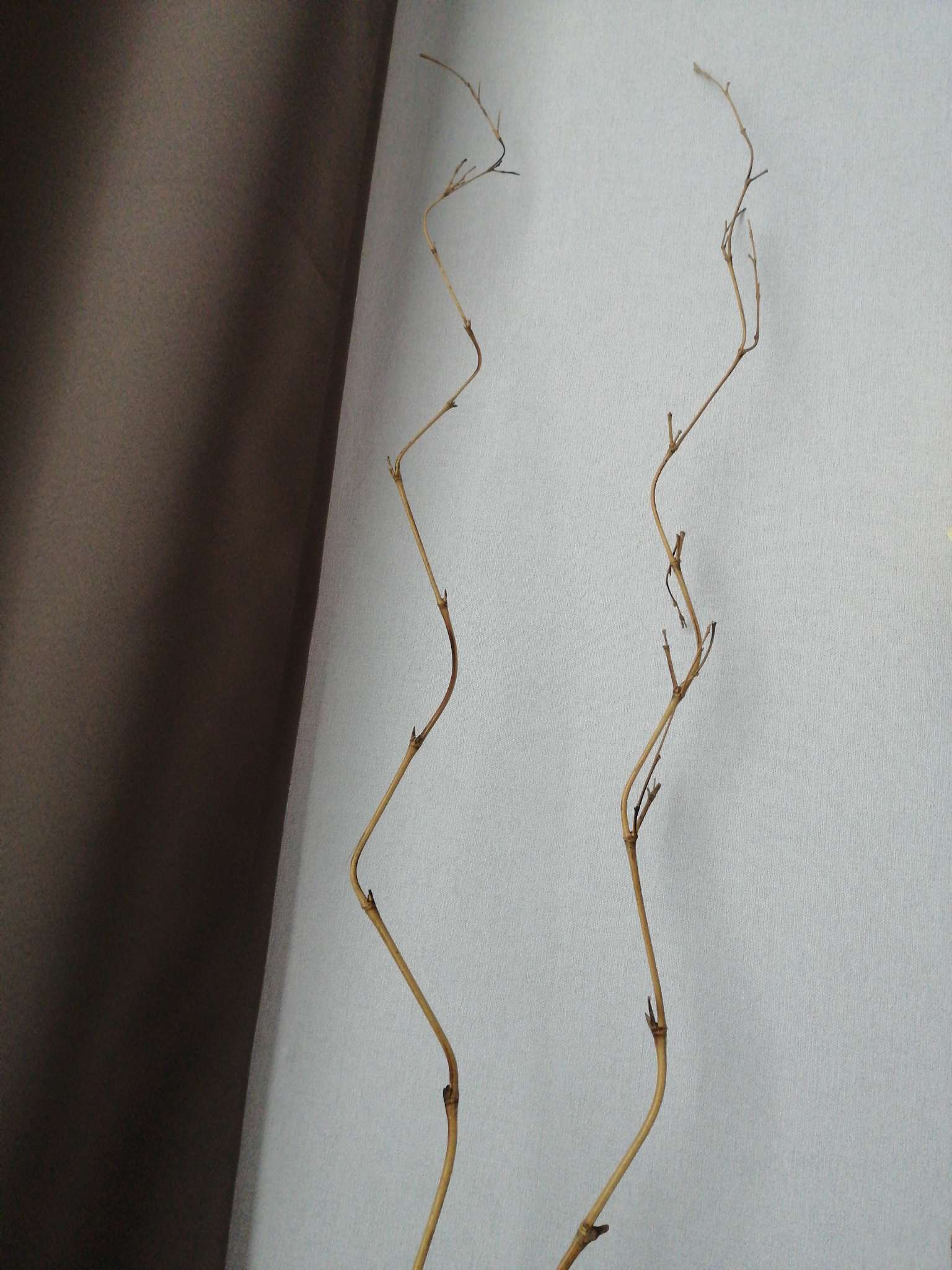 Фотография покупателя товара Интерьерный декор из бамбука, 200 см, светлый - Фото 2