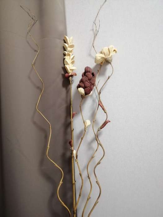 Фотография покупателя товара Сухоцвет,150 см, натуральный - Фото 18