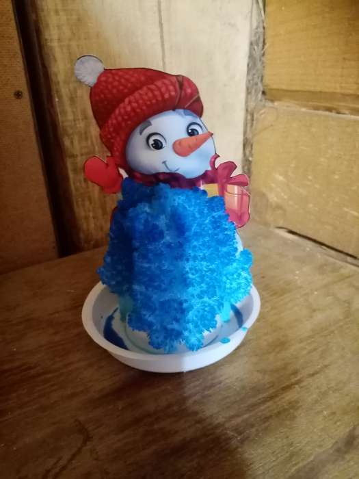 Фотография покупателя товара Новогодний набор для творчества. Выращивание кристаллов «Новый год! Снеговик», цвет синий - Фото 4