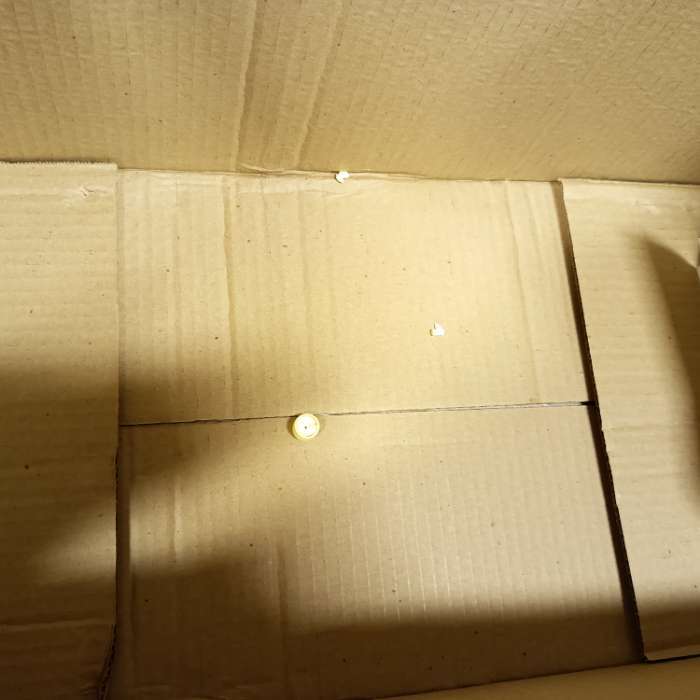 Фотография покупателя товара Контейнер для хранения Альт-Пласт, 10 л, пластик, 46×16×23.5 см, на колесиках, прозрачный - Фото 18