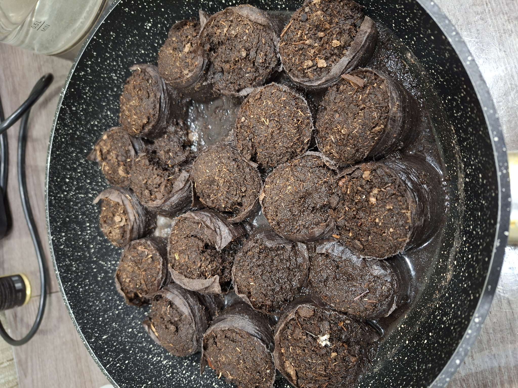 Фотография покупателя товара Таблетки торфяные, для рассады, d=4.2 см, с оболочкой, набор 50 шт. - Фото 18