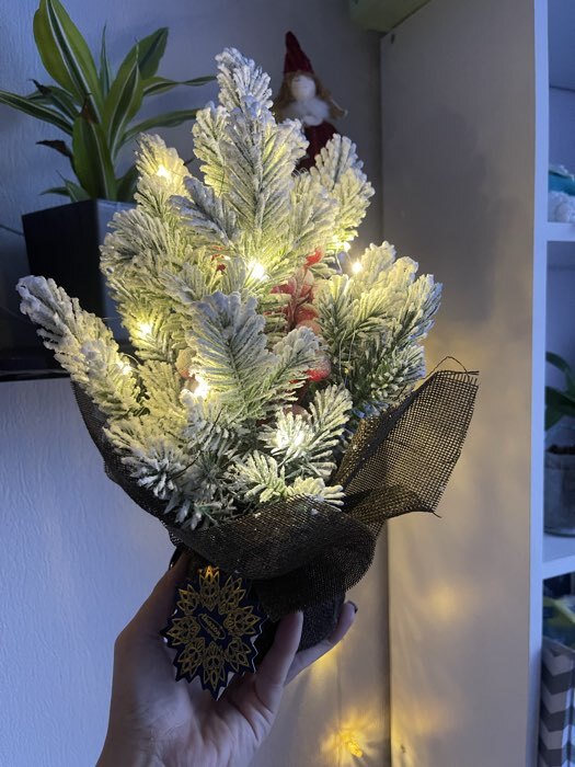 Фотография покупателя товара Фигура светодиодная «Зимняя пихта» 33×25×25 см, 20 LED, батарейки AG13×3 (в комплекте), свечение тёплое белое - Фото 1