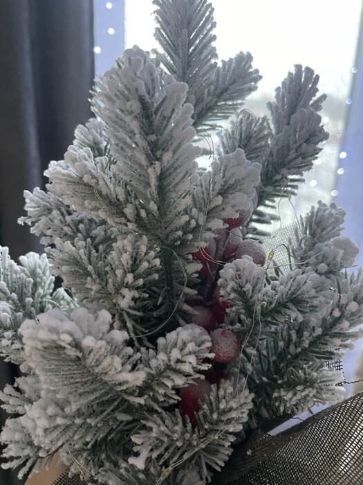 Фотография покупателя товара Фигура светодиодная «Зимняя пихта» 33×25×25 см, 20 LED, батарейки AG13×3 (в комплекте), свечение тёплое белое - Фото 2