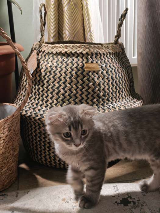 Фотография покупателя товара Корзина для белья плетеная круглая SL Home «Сорренто», камыш, 35×45 см - Фото 4