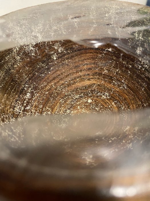 Фотография покупателя товара Набор деревянных тарелок из натурального вяза Magistro, 3 шт: 15×6,3, 12,5×6,1, 10,5×5,9 см, цвет коричневый - Фото 3