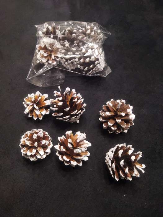 Фотография покупателя товара Новогодний декор «Набор белёных шишек» 6 шт. - Фото 1