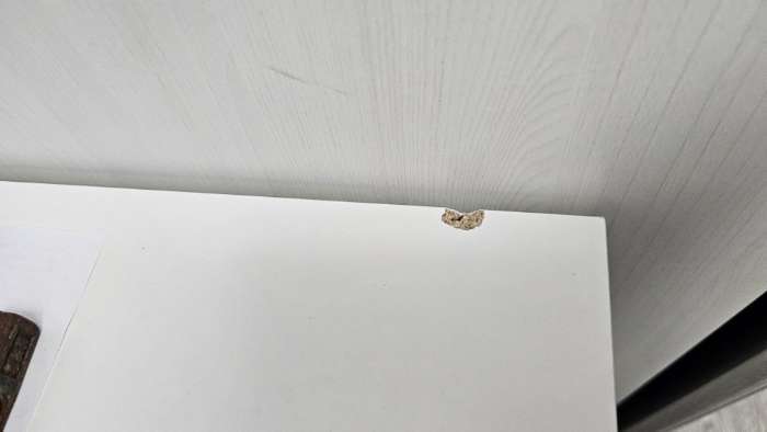 Фотография покупателя товара Комод для вещей «Клик Мебель», 5 ящиков, с дверью, 1100×480×900 мм, цвет белый - Фото 107