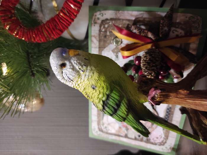 Фотография покупателя товара Фигура "Зеленый попугай" 9,5х8х16,5см - Фото 8