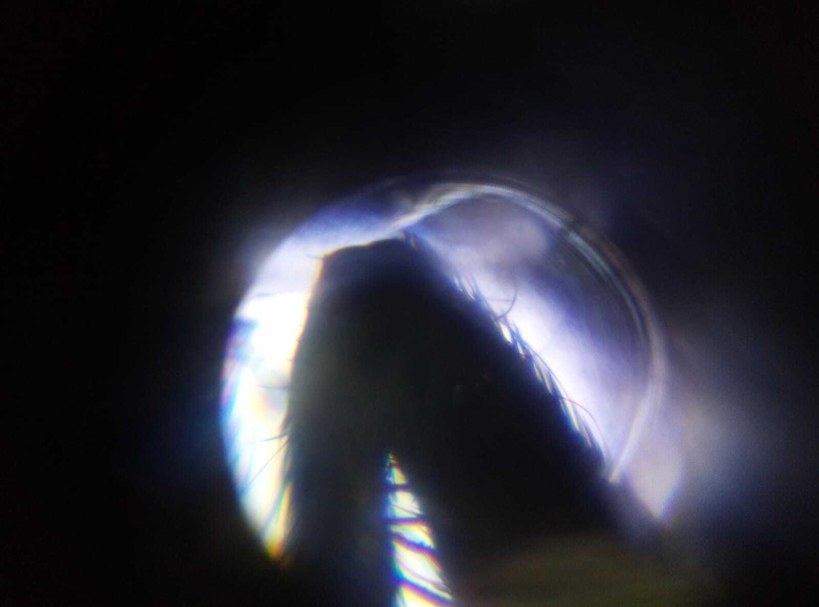 Фотография покупателя товара Микроскоп "Юный исследователь", кратность увеличения 1200х, 400х, 100х, с подсветкой - Фото 2