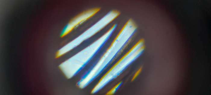 Фотография покупателя товара Микроскоп "Юный исследователь", кратность увеличения 1200х, 400х, 100х, с подсветкой - Фото 3
