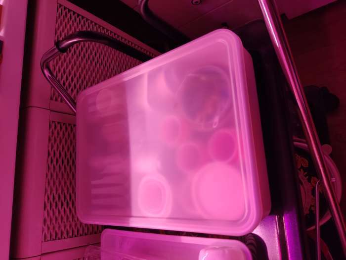 Фотография покупателя товара Контейнер для хранения с крышкой LaDо́m «Лёгкость», 7.95 л, 36×26×8 см, пластик, белый - Фото 2