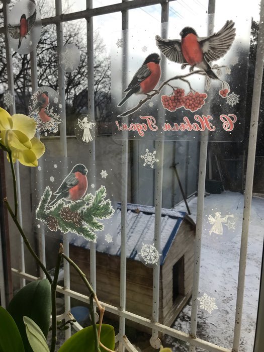 Фотография покупателя товара Набор наклеек новогодних "Снегири и снежинки" 24 х 37 см - Фото 5