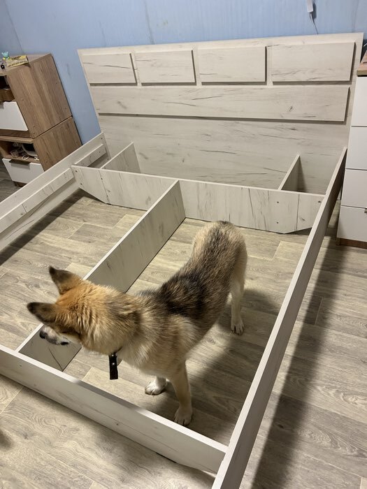 Фотография покупателя товара Кровать двуспальная парящая «Клик Мебель. Зара», 1600×2000 мм, цвет крафт белый - Фото 1