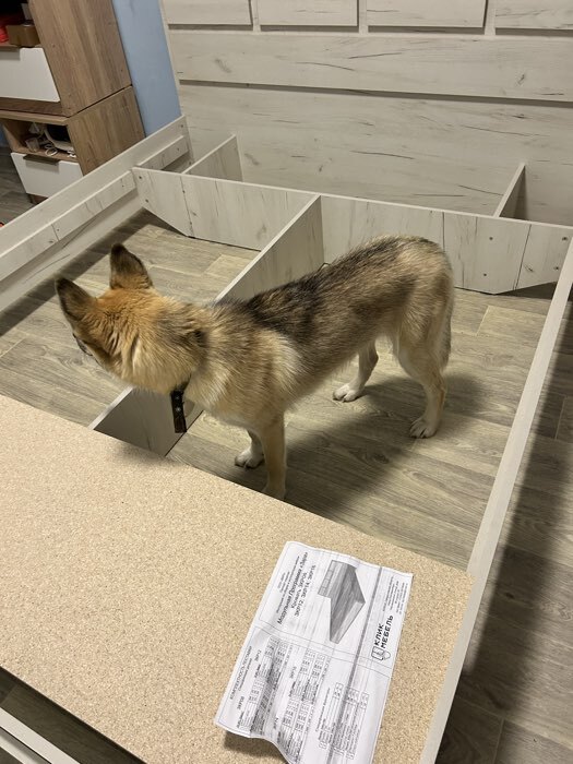 Фотография покупателя товара Кровать двуспальная парящая «Клик Мебель. Зара», 1600×2000 мм, цвет крафт белый - Фото 3