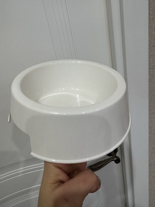 Фотография покупателя товара Миска, 400 мл, 17×17×5 см, пластик, фиолетовая - Фото 1