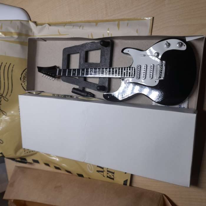 Фотография покупателя товара Гитара сувенирная Ibanez, на подставке, 24×8×2 см, чёрно-белая - Фото 1