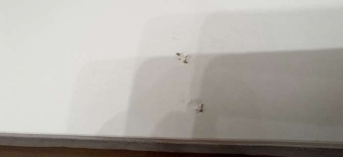 Фотография покупателя товара Шкаф двухстворчатый для одежды «Лора», 2 ящика, 2200×900×570 мм, цвет серый - Фото 20