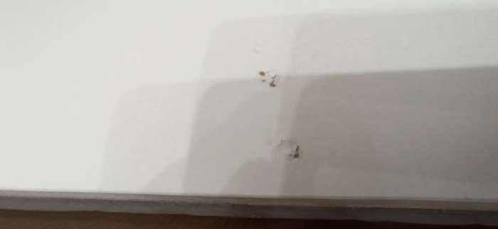 Фотография покупателя товара Шкаф двухстворчатый для одежды «Лора», 2 ящика, 2200×900×570 мм, цвет серый - Фото 13