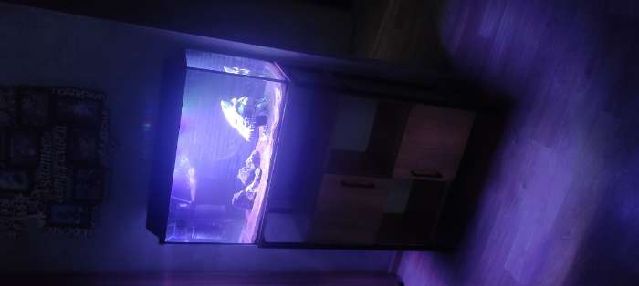 Фотография покупателя товара Аквариум «Прямоугольный» с крышкой, 75 литров, 69×29×37 см, чёрный - Фото 1