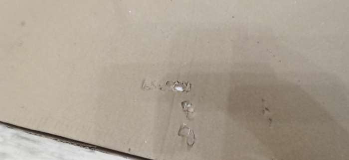 Фотография покупателя товара Шкаф четырехстворчатый «Норд», 1600×510×2236 мм, цвет белый глянец - Фото 56