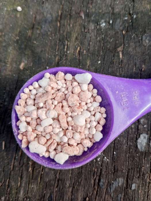 Фотография покупателя товара Удобрение Фосфорно-калийное, 1 кг - Фото 3