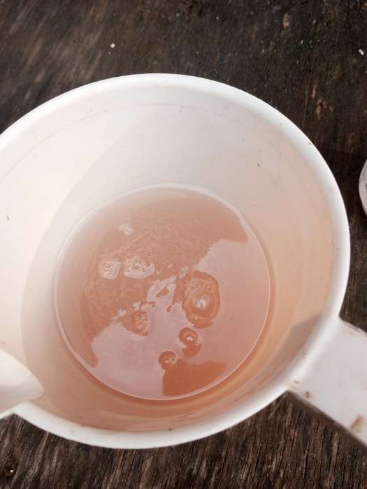 Фотография покупателя товара Удобрение Фосфорно-калийное, 1 кг - Фото 1