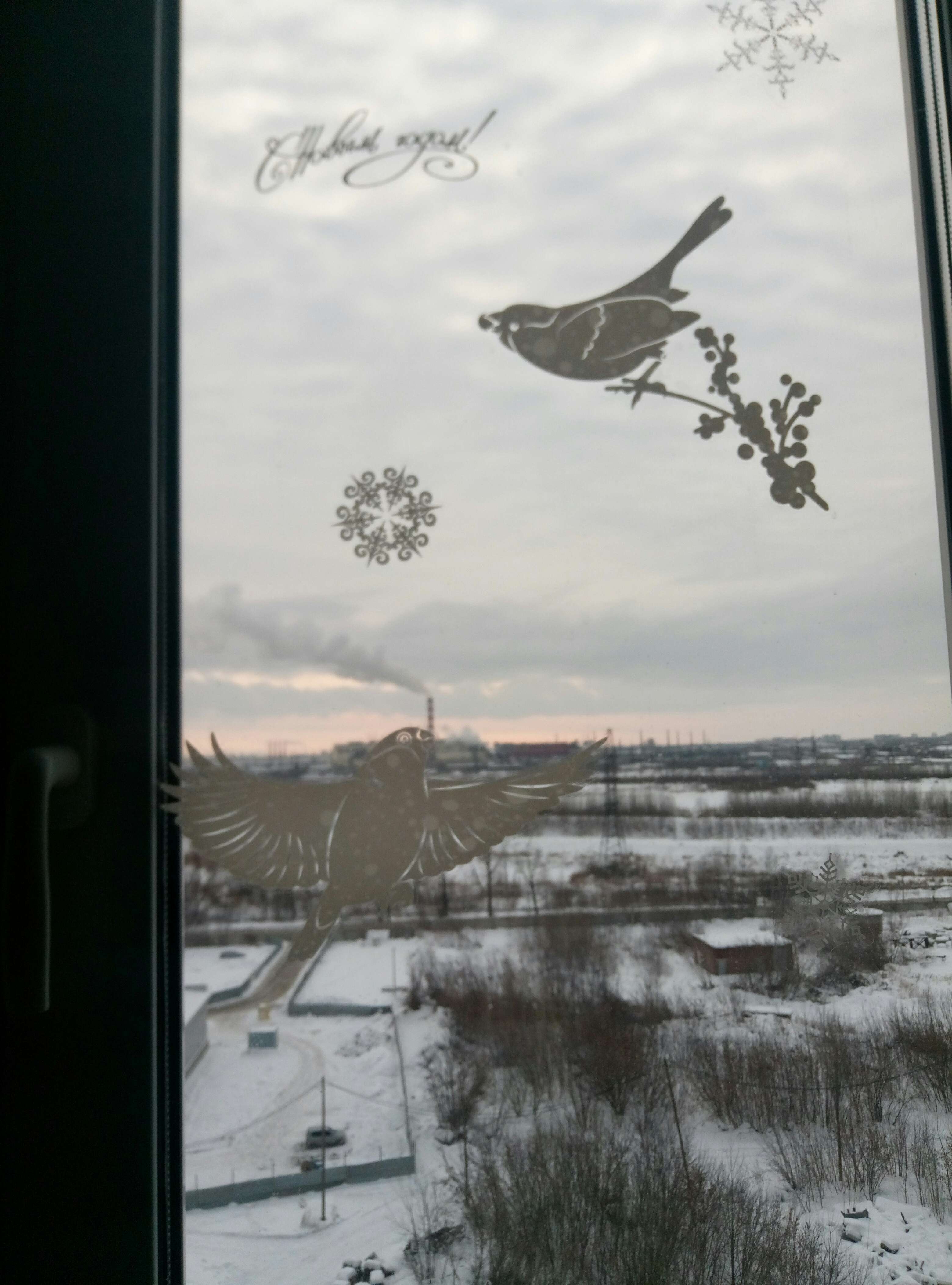 Фотография покупателя товара Наклейка для окон «Зимние птички» , многоразовая, 33 × 50 см - Фото 2