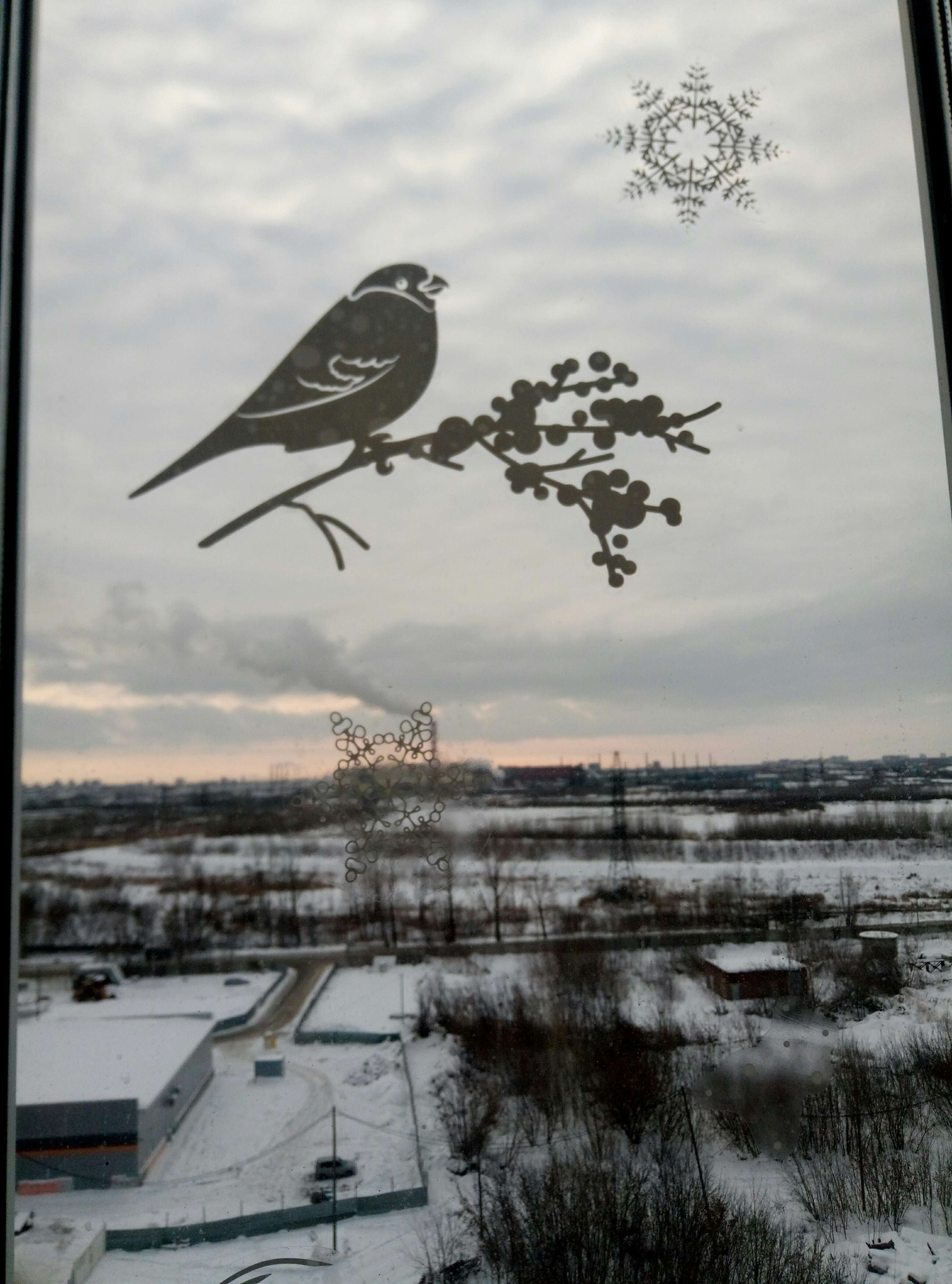 Фотография покупателя товара Наклейка для окон «Зимние птички» , многоразовая, 33 × 50 см - Фото 3