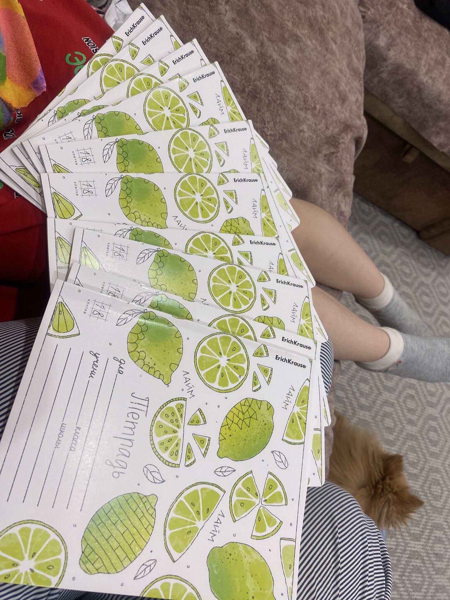 Фотография покупателя товара Тетрадь 18 листов в клетку ErichKrause «Яркие дольки», обложка мелованный картон, МИКС - Фото 1