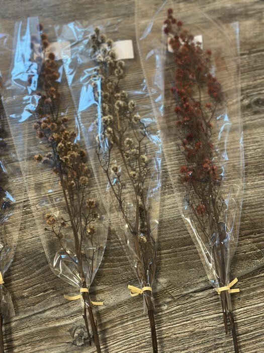 Фотография покупателя товара Сухие цветы «Молочай Миля», 25 г, длина — 70 см, цвет фиолетовый - Фото 2