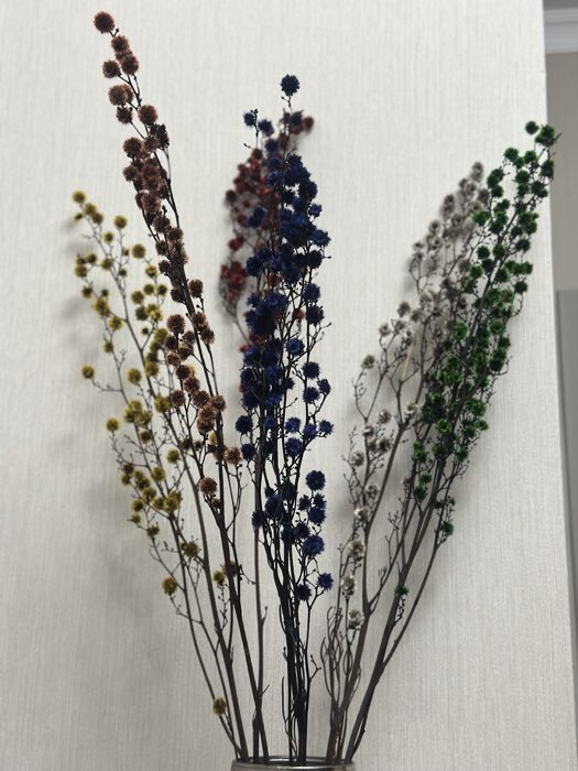 Фотография покупателя товара Сухие цветы «Молочай Миля», 25 г, длина — 70 см, цвет фиолетовый - Фото 3