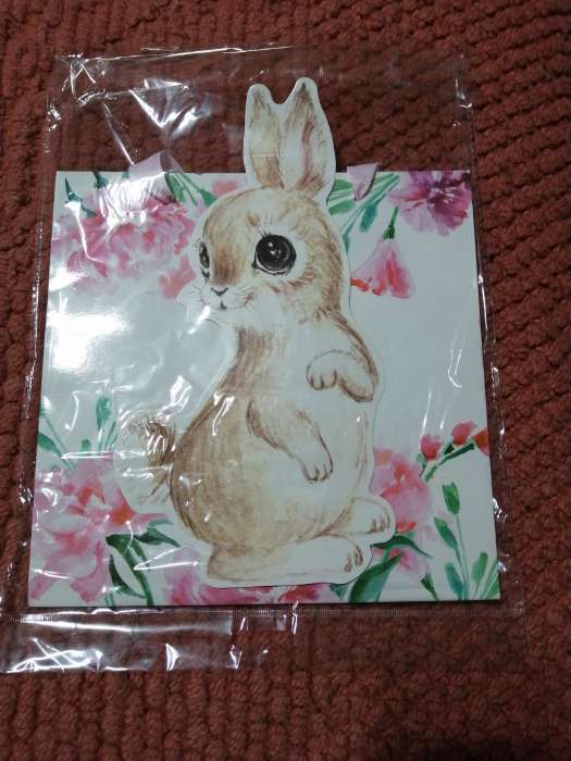 Фотография покупателя товара Пакет подарочный «Кролик», объёмная деталь, 22×22×10 см - Фото 2