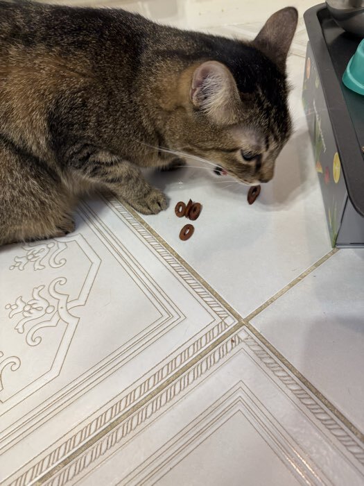 Фотография покупателя товара Колечки мясные TitBit для кошек, из говядины, 40 г - Фото 2