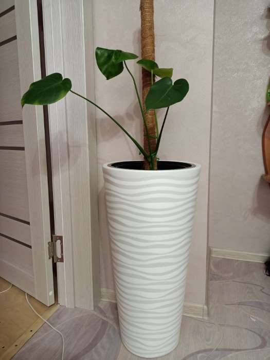 Фотография покупателя товара Кашпо для цветов со вставкой «Оазис», 25 л (5 л), пластик, белое - Фото 1