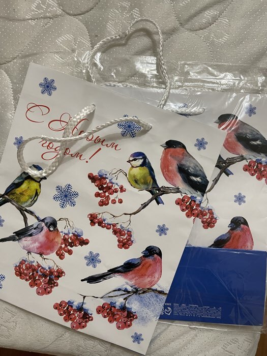 Фотография покупателя товара УЦЕНКА Пакет подарочный ламинированный новогодний «Новый год», ML 21×25×8 см, МИКС - Фото 10