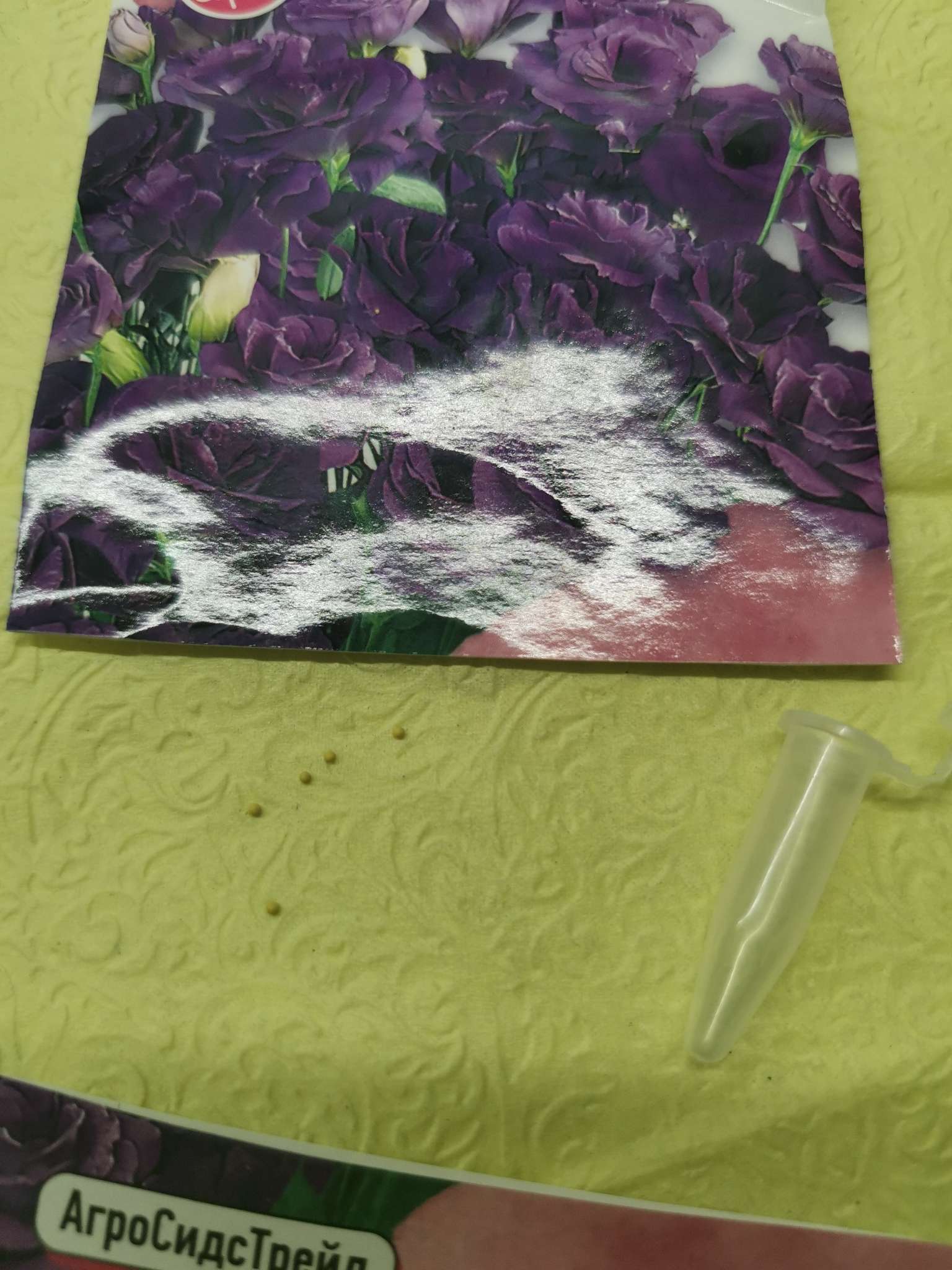 Фотография покупателя товара Семена цветов Эустома "АВС Пурпл комнатная", 10 шт - Фото 2