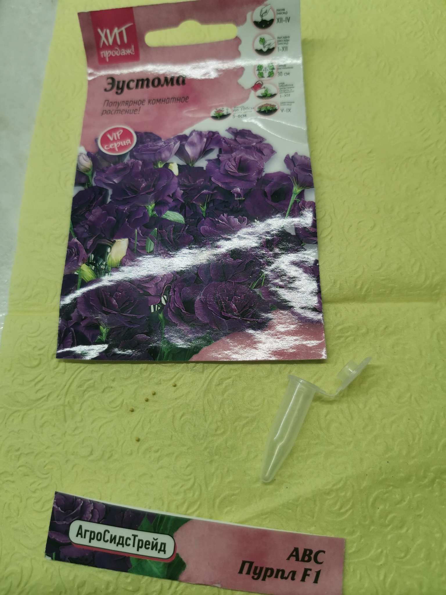 Фотография покупателя товара Семена цветов Эустома "АВС Пурпл комнатная", 10 шт - Фото 3