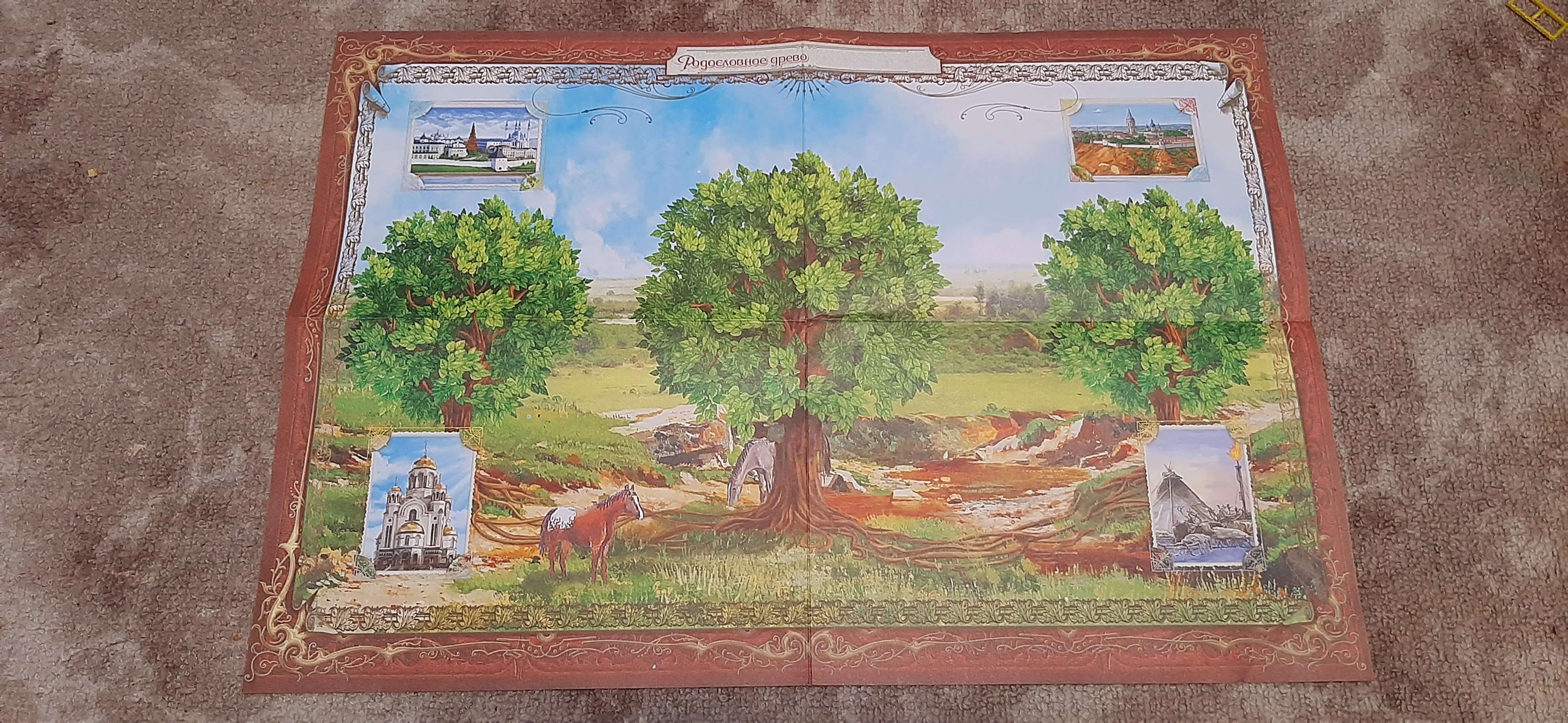 Фотография покупателя товара Родословная книга «Древо», 56 листов, 16,5 х 24 см.