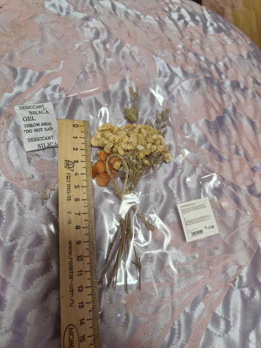 Фотография покупателя товара Букетик сухоцветов «Восторг» - Фото 7
