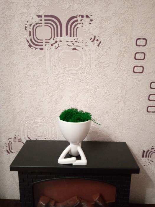 Фотография покупателя товара Стабилизированный мох в кашпо пластиковом «Мистер Грин на лайте», 9.7×12×7.3 см, белый - Фото 1