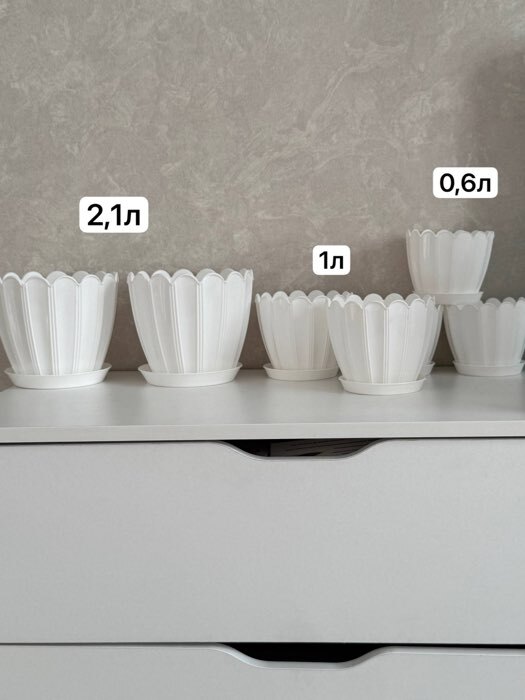 Фотография покупателя товара Горшок для цветов с поддоном «Хризантема», 1 л, d=13 см, h=11.5 см, пластиковый, белый - Фото 1