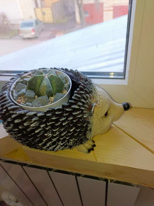 Фотография покупателя товара Декоративное кашпо для цветов «Ёжик», 25.5×16×13.5 см, полистоун - Фото 1