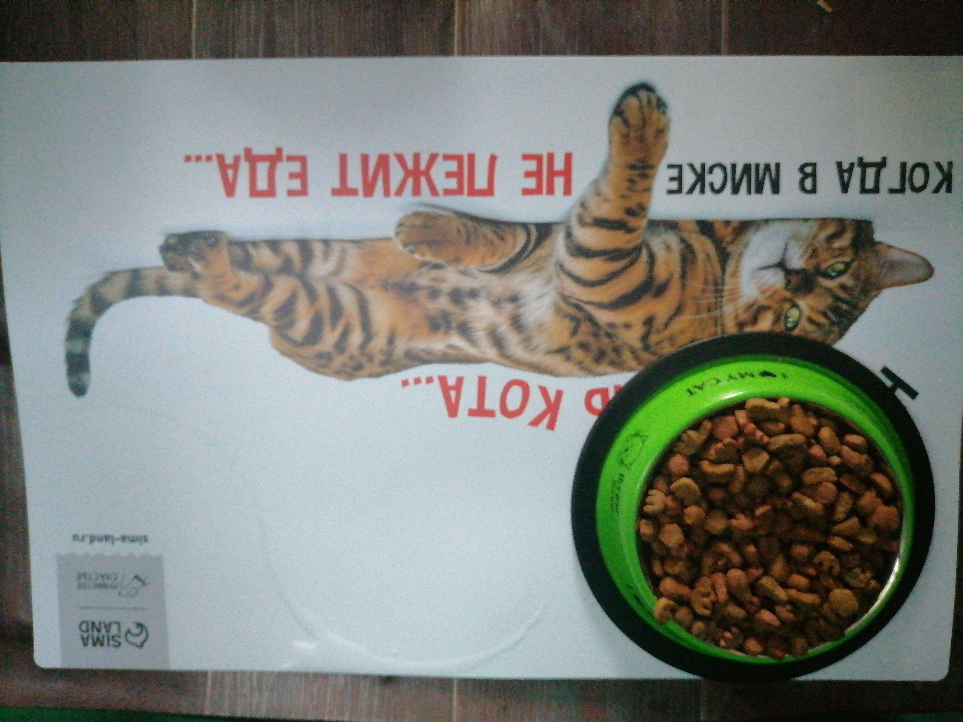 Фотография покупателя товара Коврик под миску «Не проста жизнь кота», 43х28 см - Фото 4