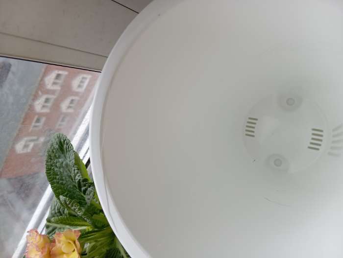 Фотография покупателя товара Кашпо для цветов со вставкой Plast-Avenue «Валенсия», 2.8 л, пластик, белое - Фото 8