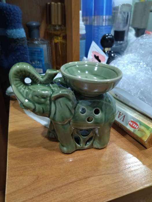 Фотография покупателя товара Аромалампа для эфирных масел «Слон», 10×13.5×7 см, МИКС - Фото 3