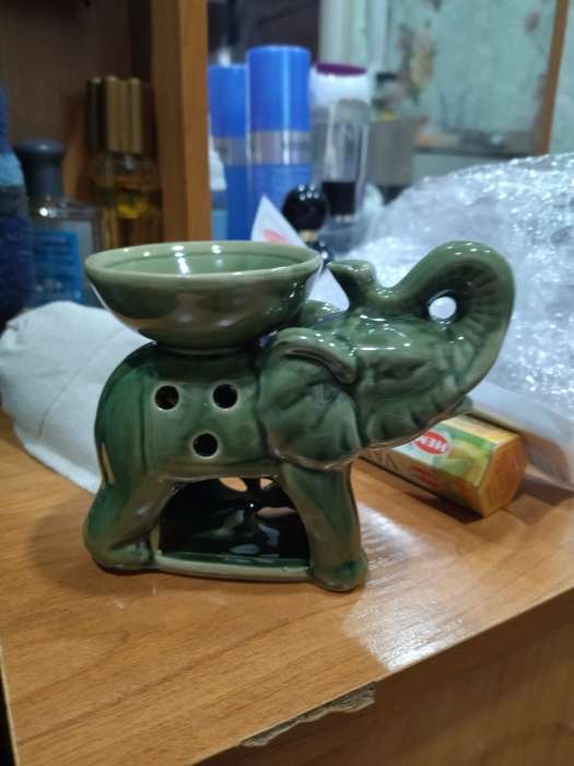 Фотография покупателя товара Аромалампа для эфирных масел «Слон», 10×13.5×7 см, МИКС - Фото 4