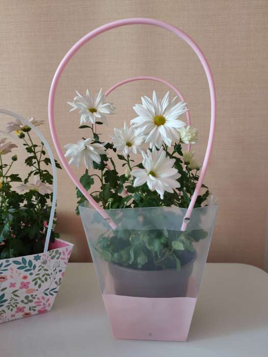 Фотография покупателя товара Сумка для цветов прозрачная, влагостойкая, белая, 26×24×12 см - Фото 1